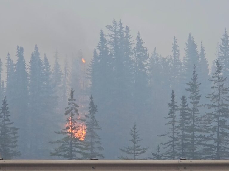 Rains help firefighters battle blazes in Canada’s Jasper National Park | Climate News