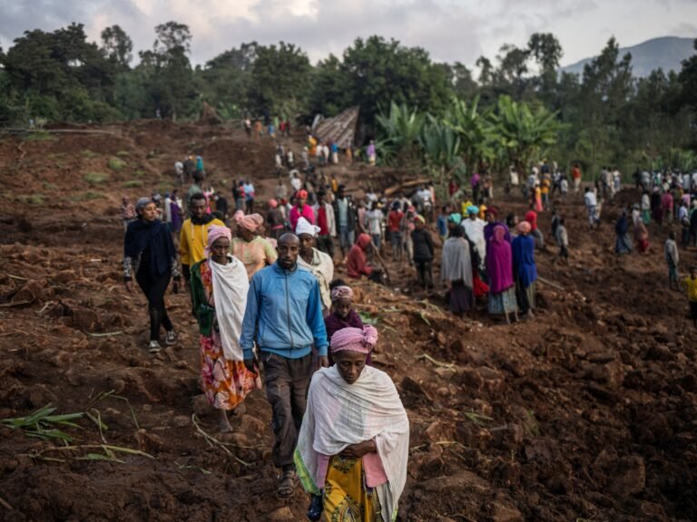 Search for hundreds missing after deadly landslides in Ethiopia | Weather News