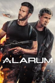 Alarum: 2025