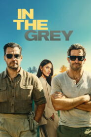 In the Grey: 2026