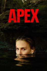 Apex: 2026
