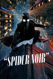Spider-Noir: 2026