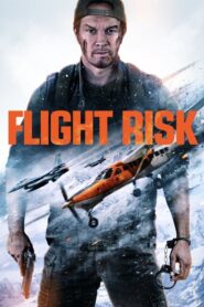 Flight Risk: 2025