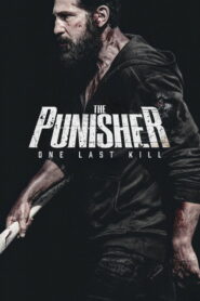 The Punisher: One Last Kill: 2026