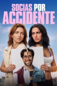 Accidental Partners: 2026