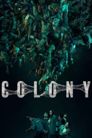 Colony: 2026