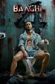 Baaghi 4: 2025