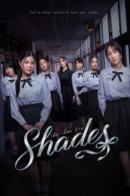 Shades: 2026